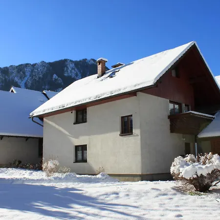 Apartment Bernik Ii